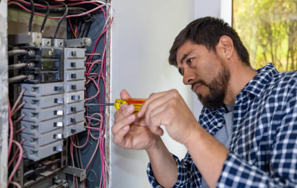 Best Electric Panel Repair  in Broadview Park, FL